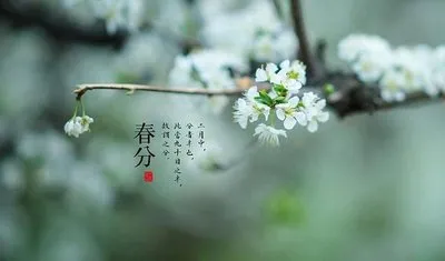 The Characteristics And Customs Of The Spring Equinox Solar Term